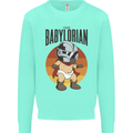 Babylorian Funny Baby Toddler Infant Parody Mens Sweatshirt Jumper Peppermint