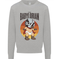 Babylorian Funny Baby Toddler Infant Parody Mens Sweatshirt Jumper Sports Grey