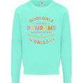 Bad Girls Play With Pool Balls 9-Ball Kids Sweatshirt Jumper Peppermint
