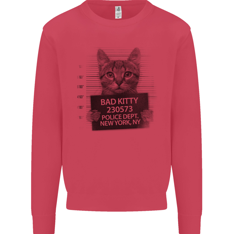 Bad Kitty New York City Police Dept. Kids Sweatshirt Jumper Heliconia