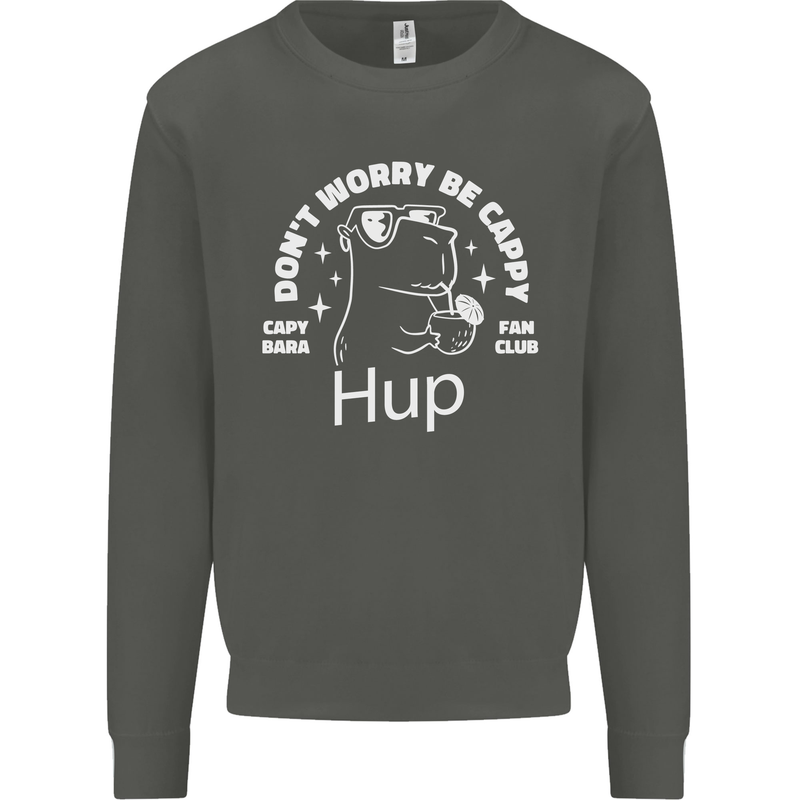 Be Cappy Funny Capybara Kids Sweatshirt Jumper Storm Grey