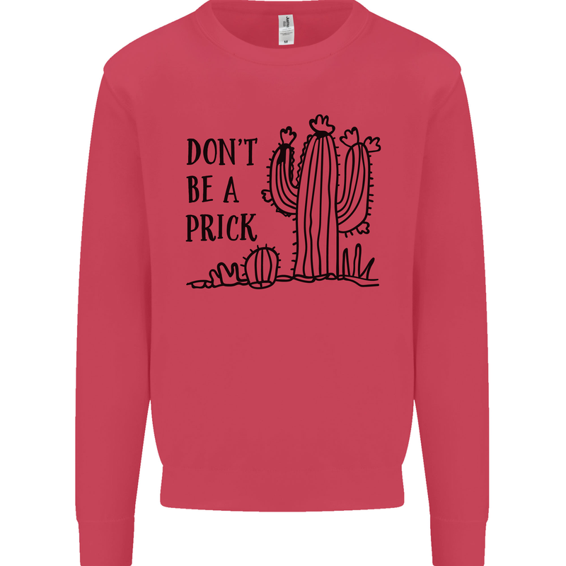 Be a Prick Funny Offensive Cactus Slogan Kids Sweatshirt Jumper Heliconia