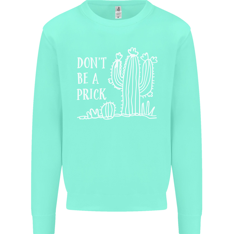 Be a Prick Funny Offensive Cactus Slogan Kids Sweatshirt Jumper Peppermint