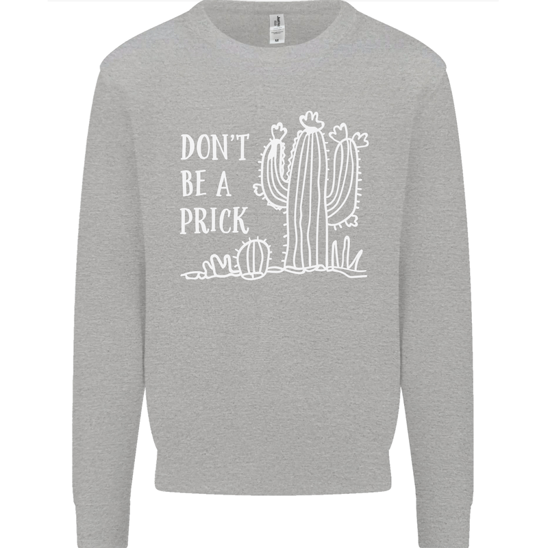 Be a Prick Funny Offensive Cactus Slogan Kids Sweatshirt Jumper Sports Grey