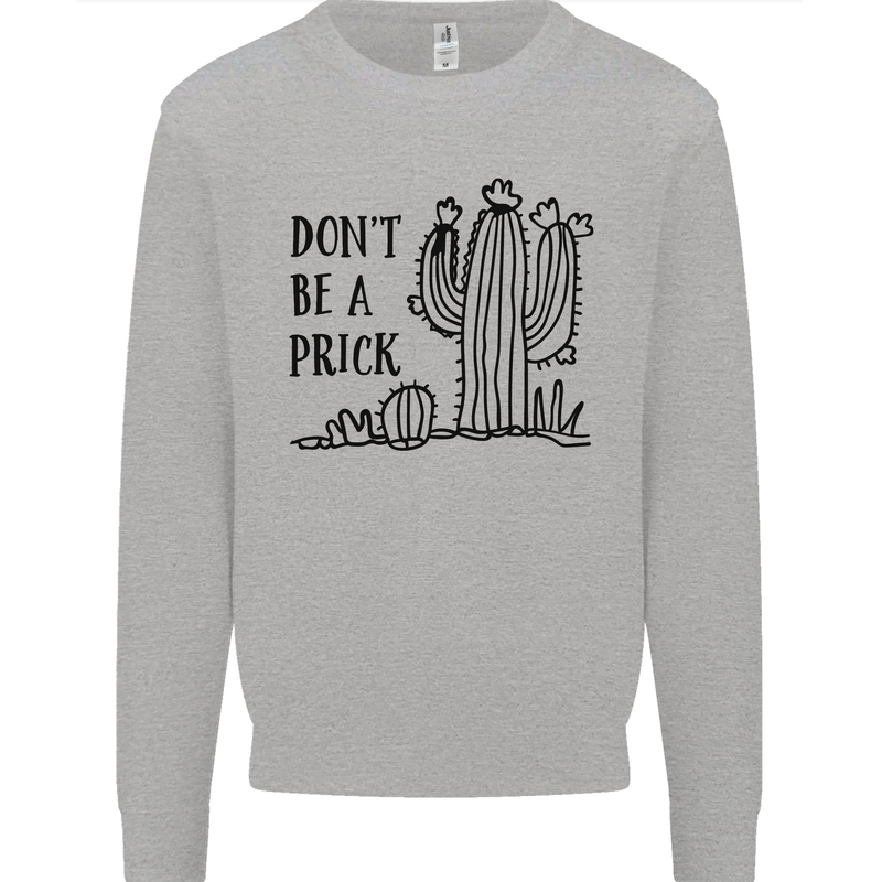 Be a Prick Funny Offensive Cactus Slogan Kids Sweatshirt Jumper Sports Grey