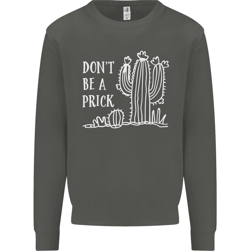 Be a Prick Funny Offensive Cactus Slogan Kids Sweatshirt Jumper Storm Grey