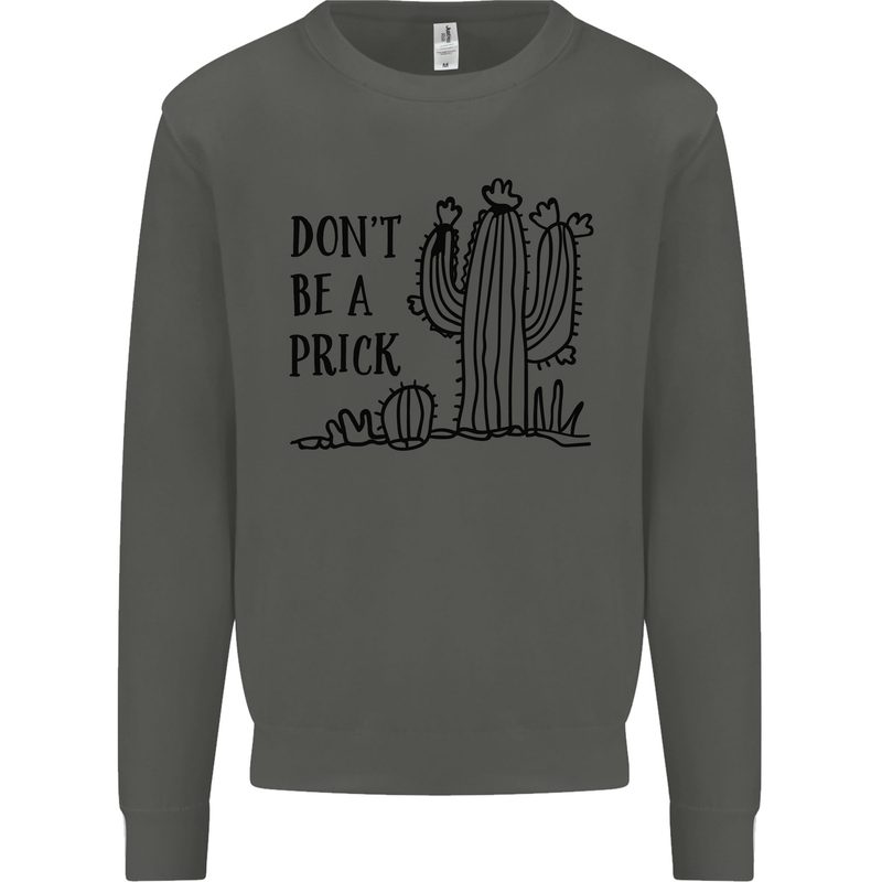 Be a Prick Funny Offensive Cactus Slogan Kids Sweatshirt Jumper Storm Grey