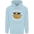 Bearded Dragons Like Little Dinosaurs Childrens Kids Hoodie Light Blue