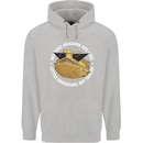 Bearded Dragons Like Little Dinosaurs Childrens Kids Hoodie Sports Grey
