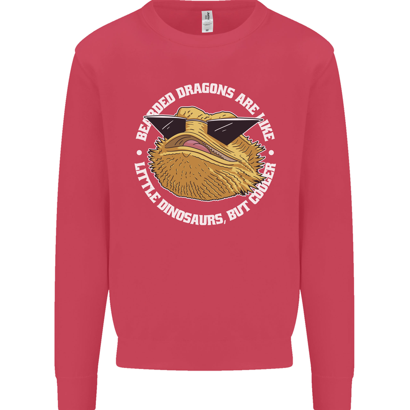 Bearded Dragons Like Little Dinosaurs Kids Sweatshirt Jumper Heliconia