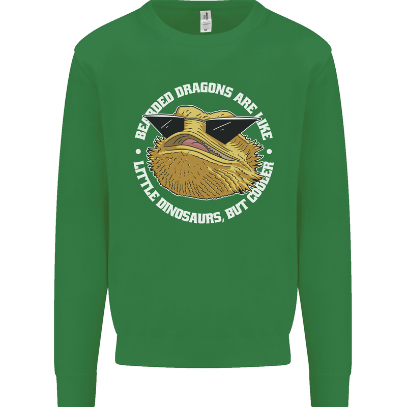 Bearded Dragons Like Little Dinosaurs Kids Sweatshirt Jumper Irish Green