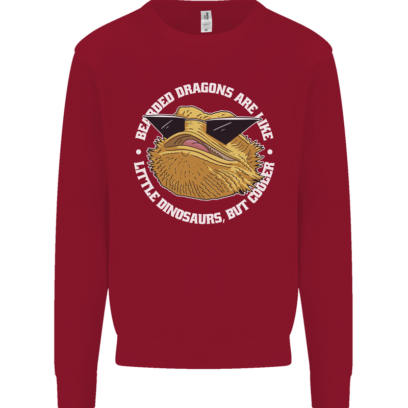 Bearded Dragons Like Little Dinosaurs Kids Sweatshirt Jumper Red