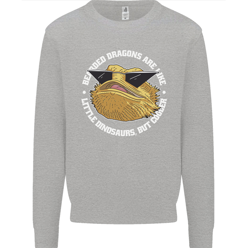 Bearded Dragons Like Little Dinosaurs Kids Sweatshirt Jumper Sports Grey