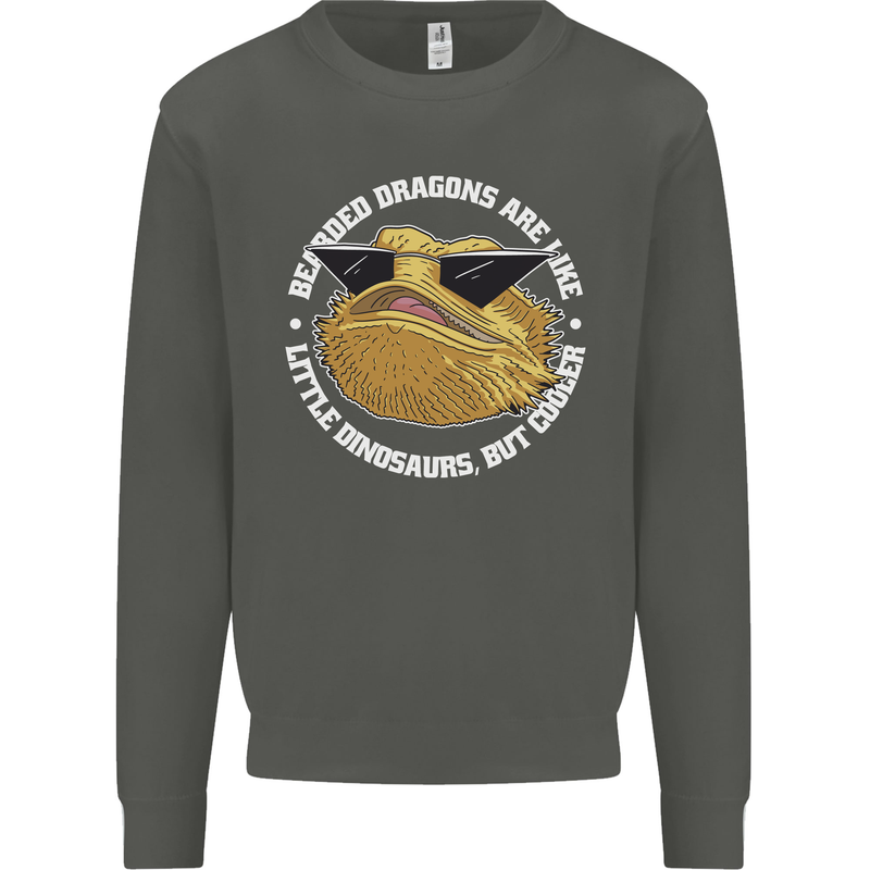 Bearded Dragons Like Little Dinosaurs Kids Sweatshirt Jumper Storm Grey