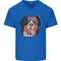 Bernese Mountain Dog Mens V-Neck Cotton T-Shirt Royal Blue