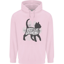 Best Cat Grandma Mens 80% Cotton Hoodie Light Pink