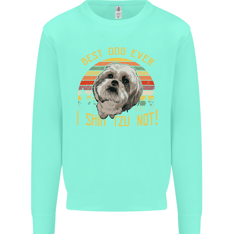 Best Dog Ever I Shih Tzu Not Funny Kids Sweatshirt Jumper Peppermint