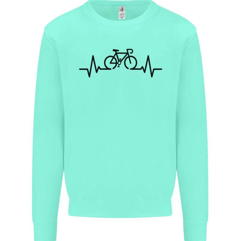 Bicycle Pulse Cycling Cyclist Road Bike Mens Sweatshirt Jumper Peppermint