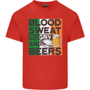 Blood Sweat Rugby and Beers Ireland Funny Kids T-Shirt Childrens Red