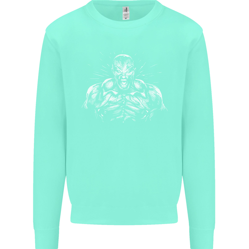 Bodybuilder Gym Training Top Bodybuilding Mens Sweatshirt Jumper Peppermint