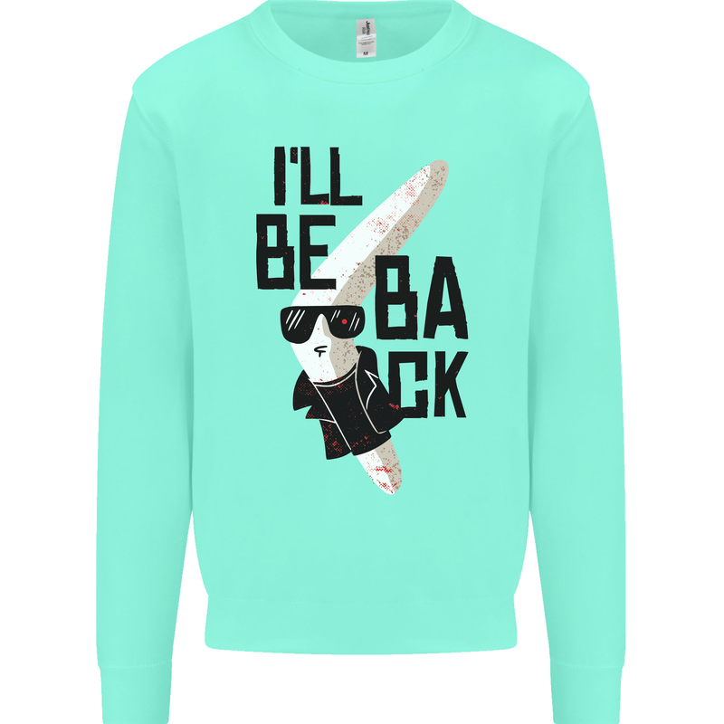Boomerang Funny Mens Sweatshirt Jumper Peppermint