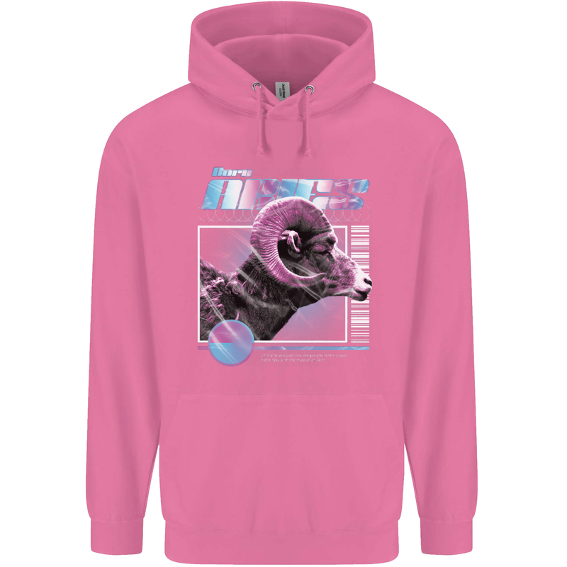 Born Aries Birthday Star Sign Childrens Kids Hoodie Azalea