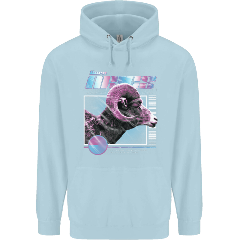 Born Aries Birthday Star Sign Childrens Kids Hoodie Light Blue