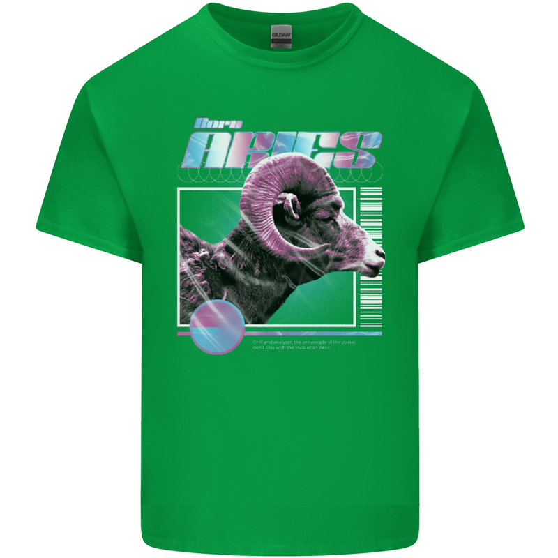 Born Aries Birthday Star Sign Kids T-Shirt Childrens Irish Green