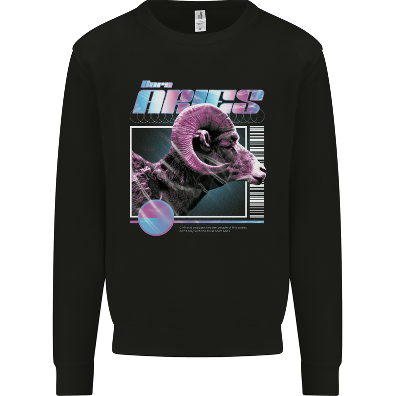 Born Aries Birthday Star Sign Mens Sweatshirt Jumper Black