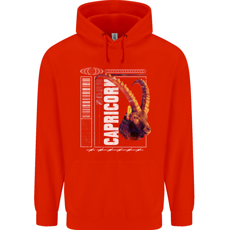 Born Capricorn Birthday Star Sign Childrens Kids Hoodie Bright Red
