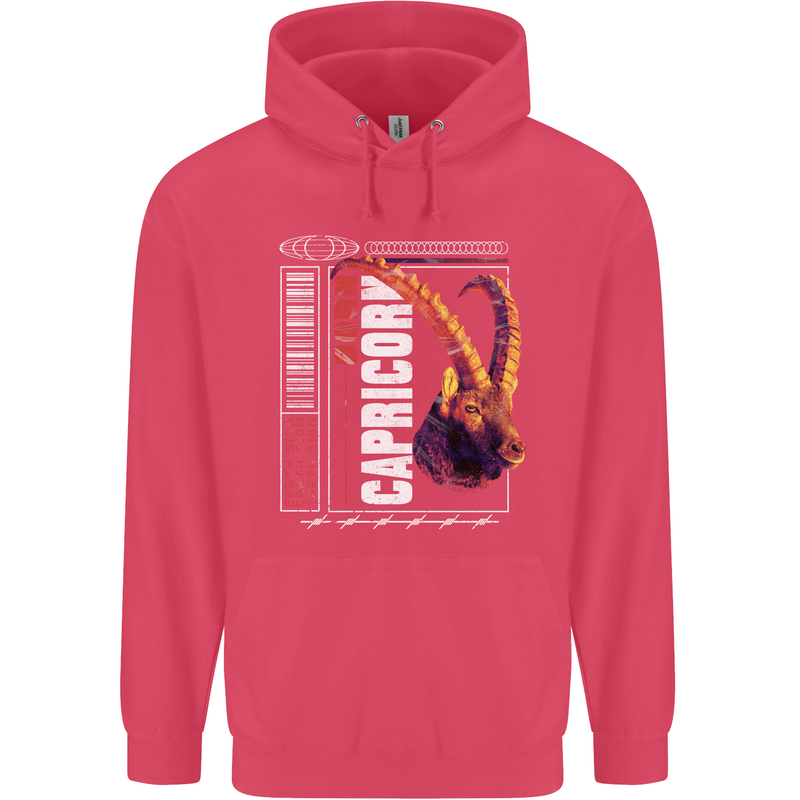 Born Capricorn Birthday Star Sign Childrens Kids Hoodie Heliconia