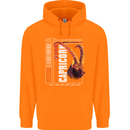 Born Capricorn Birthday Star Sign Childrens Kids Hoodie Orange