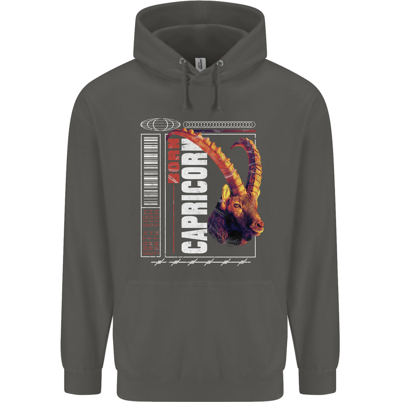 Born Capricorn Birthday Star Sign Childrens Kids Hoodie Storm Grey