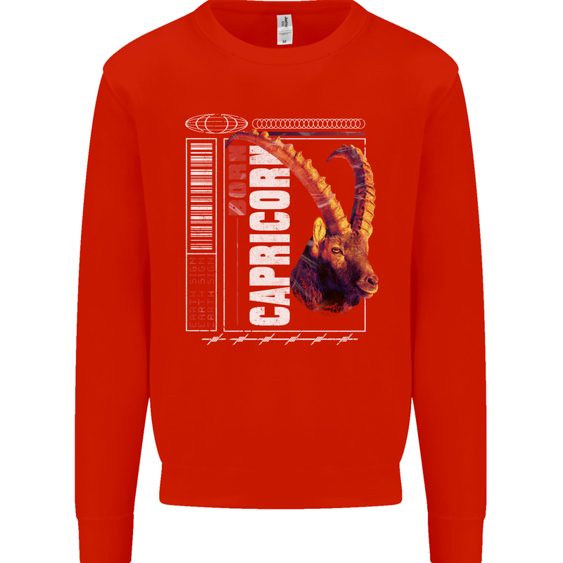 Born Capricorn Birthday Star Sign Kids Sweatshirt Jumper Bright Red