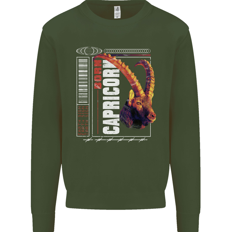 Born Capricorn Birthday Star Sign Kids Sweatshirt Jumper Forest Green