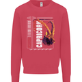 Born Capricorn Birthday Star Sign Kids Sweatshirt Jumper Heliconia