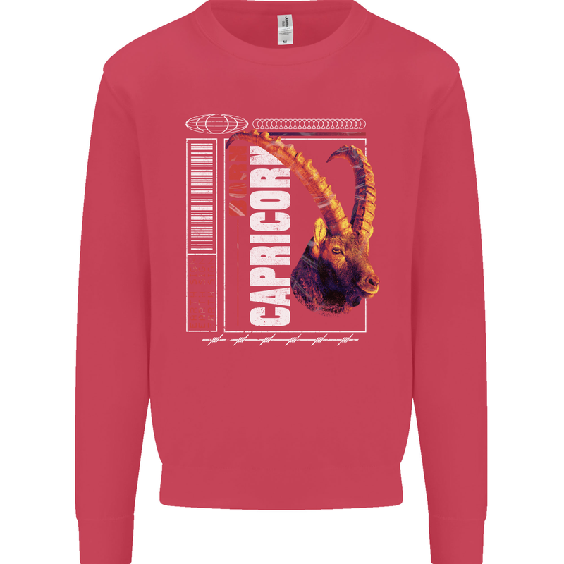 Born Capricorn Birthday Star Sign Kids Sweatshirt Jumper Heliconia