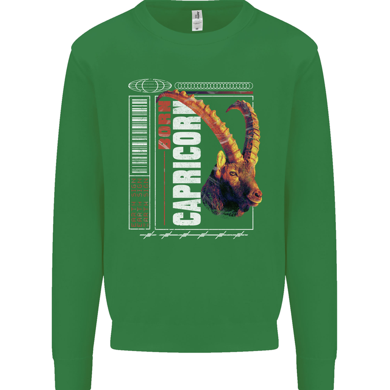 Born Capricorn Birthday Star Sign Kids Sweatshirt Jumper Irish Green