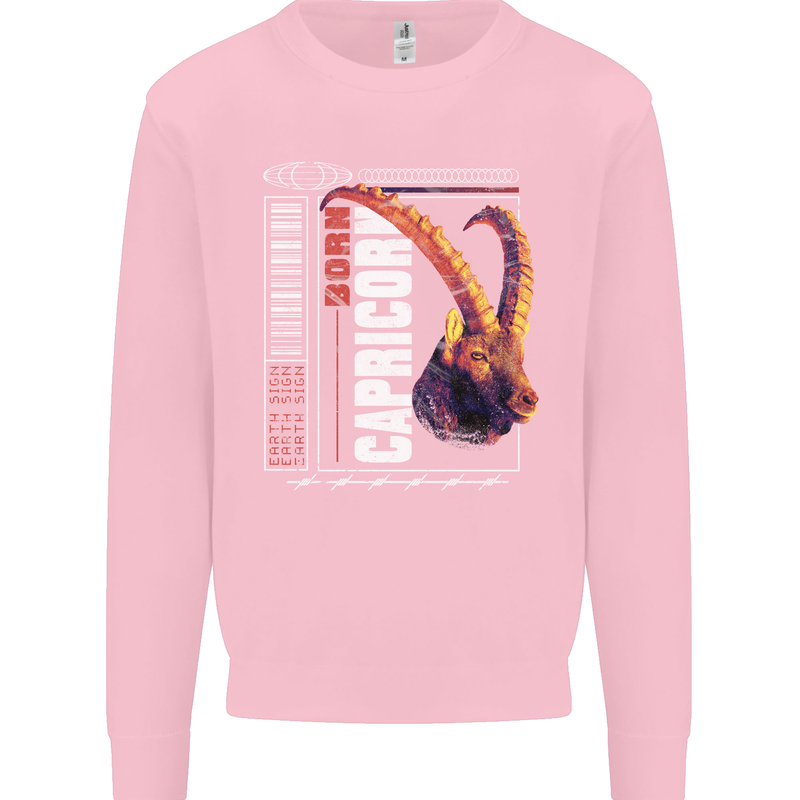 Born Capricorn Birthday Star Sign Kids Sweatshirt Jumper Light Pink