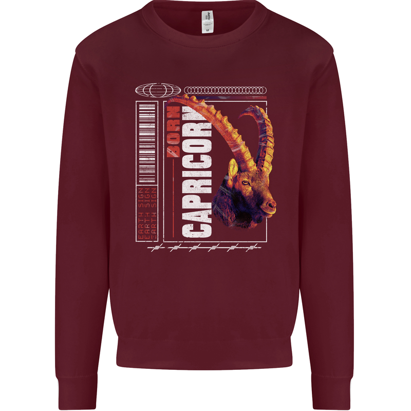 Born Capricorn Birthday Star Sign Kids Sweatshirt Jumper Maroon