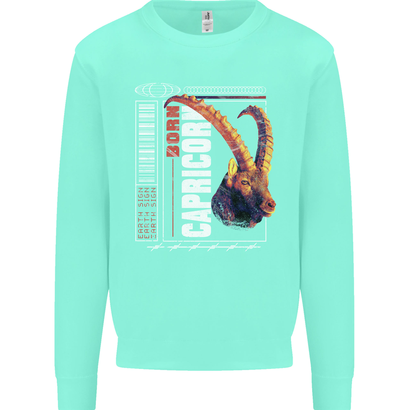 Born Capricorn Birthday Star Sign Kids Sweatshirt Jumper Peppermint