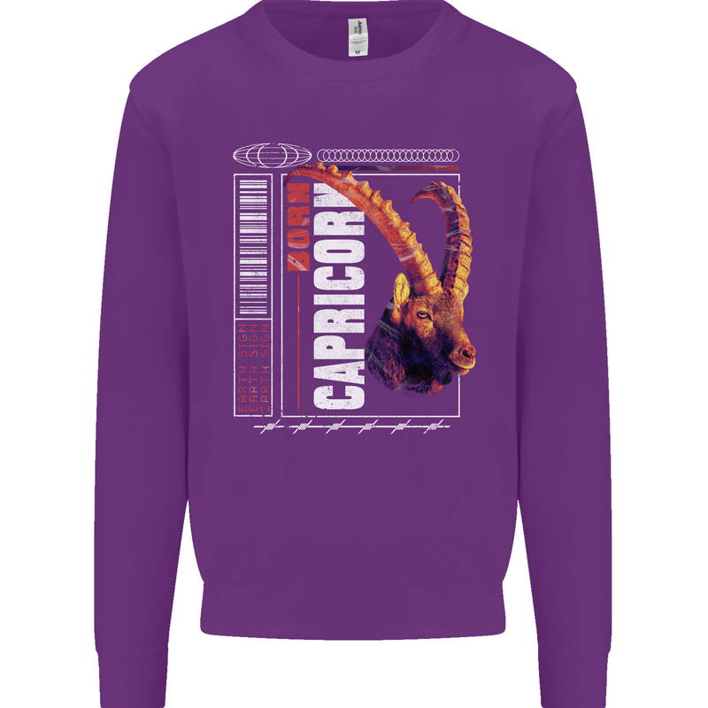 Born Capricorn Birthday Star Sign Kids Sweatshirt Jumper Purple