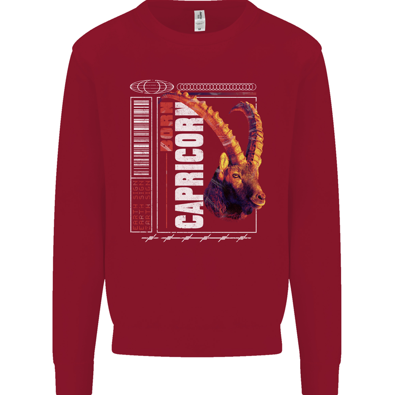 Born Capricorn Birthday Star Sign Kids Sweatshirt Jumper Red