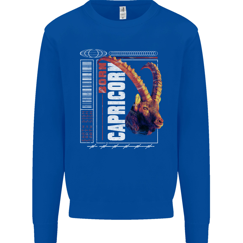 Born Capricorn Birthday Star Sign Kids Sweatshirt Jumper Royal Blue