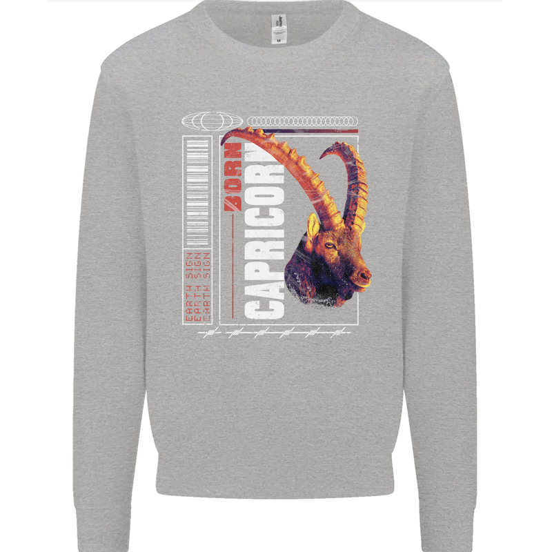 Born Capricorn Birthday Star Sign Kids Sweatshirt Jumper Sports Grey
