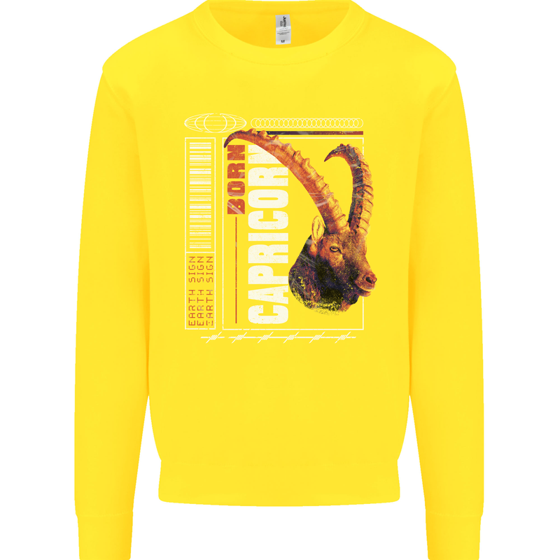 Born Capricorn Birthday Star Sign Kids Sweatshirt Jumper Yellow