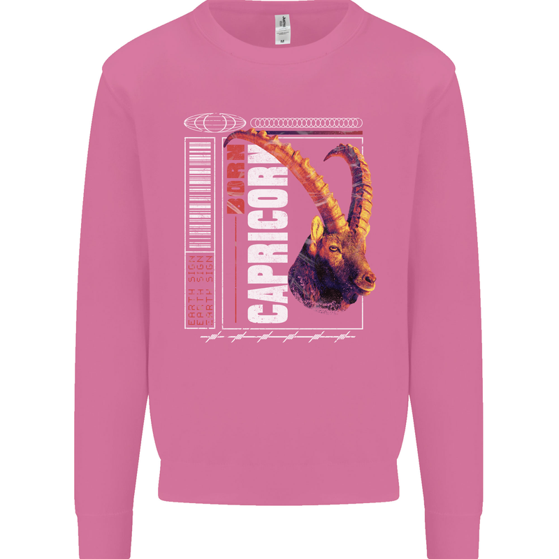 Born Capricorn Birthday Star Sign Mens Sweatshirt Jumper Azalea