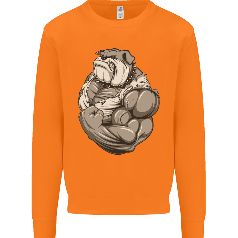 Bulldog Gym Bodybuilding Training Top Mens Sweatshirt Jumper Orange