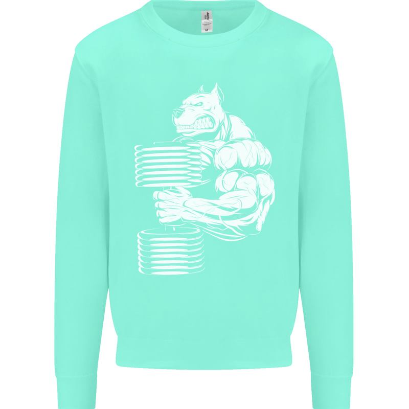 Bulldog Gym Training Top Bodybuilding Mens Sweatshirt Jumper Peppermint