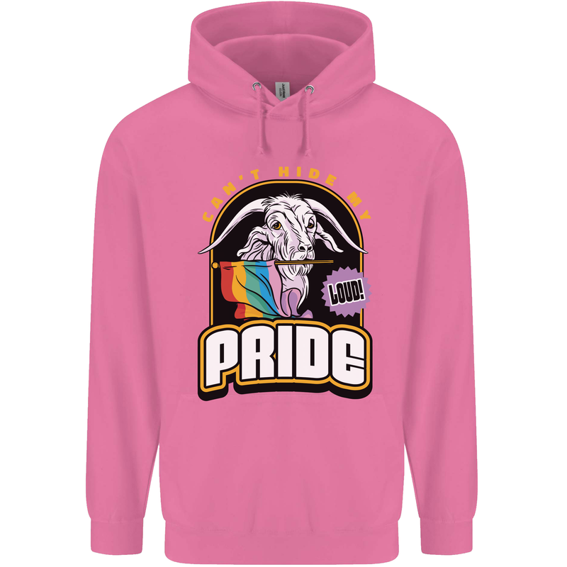 Can't Hide My Pride LGBT Gay Awareness Childrens Kids Hoodie Azalea